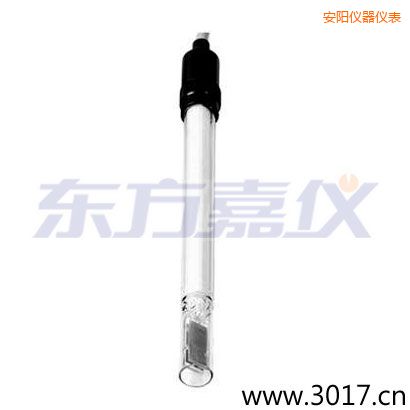 安陽(yáng)玻璃外殼含有溫度的兩線(xiàn)電導(dǎo)率電極