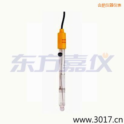 合肥可填充玻璃管電極