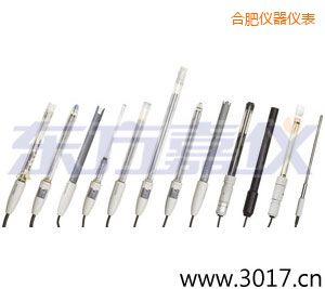 合肥pH電極