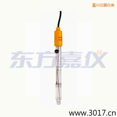 嘉興可填充玻璃管電極