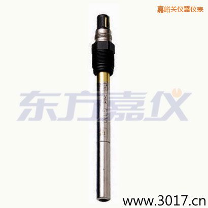 嘉峪關電廠痕量溶氧電極
