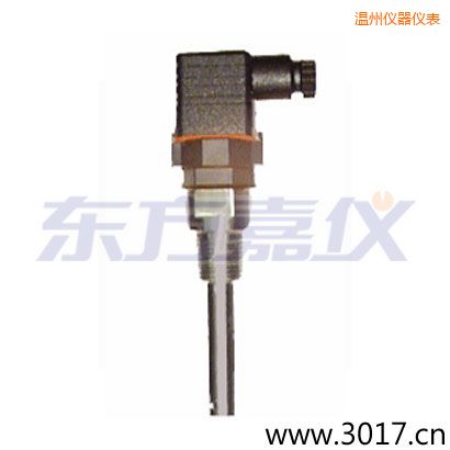 溫州含有溫度的兩線電導率電極